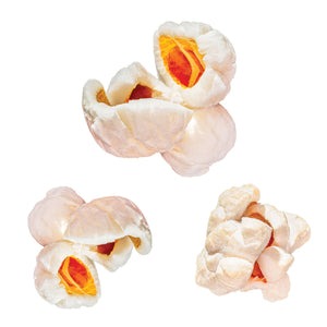 Honey Sea Salt Popcorn